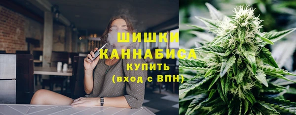 2c-b Белокуриха