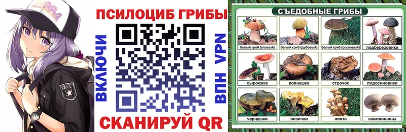 Псилоцибиновые грибы Cubensis MEGA маркетплейс Елизаветинская